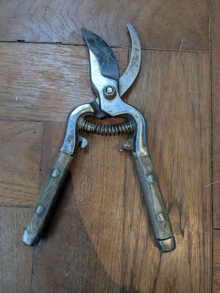Photo of free Secateurs (Brockley SE4) #1