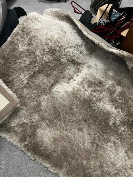 Photo of free Soft beige rug (N10 2NL) #1