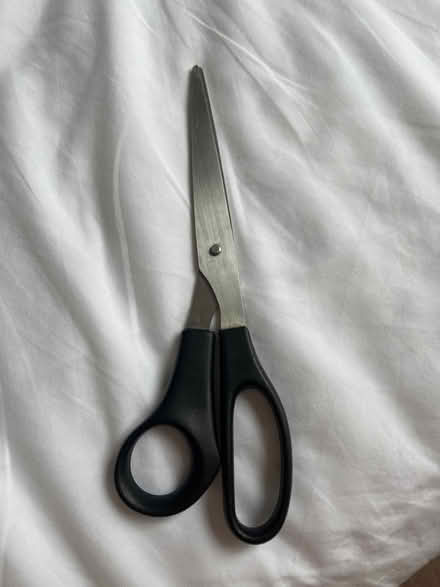 Photo of free Scissors (SW155DU) #1