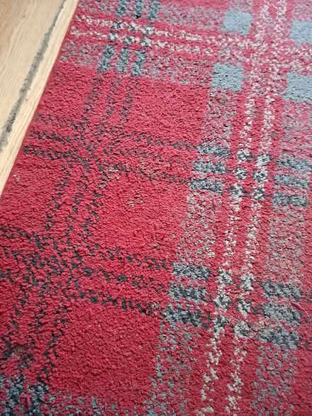Photo of free Red tartan rug 120x170 (Kidderminster DY11) #3