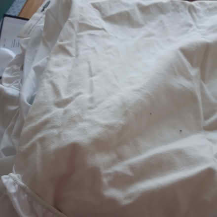 Photo of free Small double mattress protector - used vgc (Bampton OX18) #1