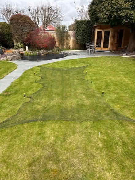 Photo of free Netting (Goring by Sea BN12) #1