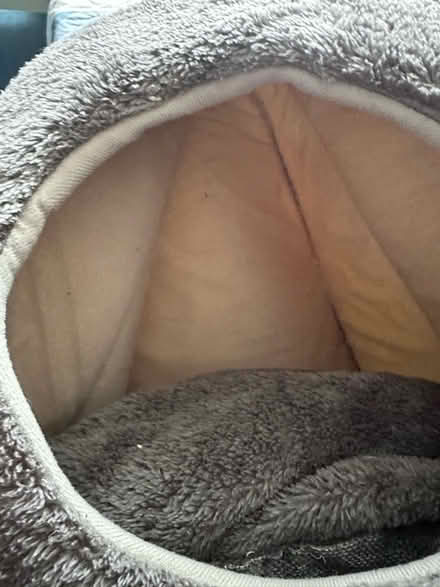 Photo of free Cat bed. As new. (Blaby LE8) #4