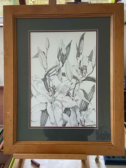 Photo of free Pen and ink drawing (CV7) #1