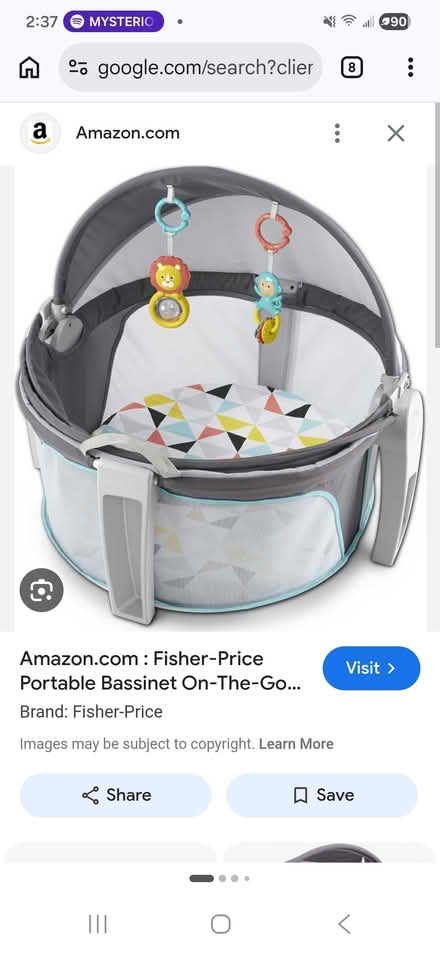 Photo of free Fisher price on the go bassinet (Waltham) #1
