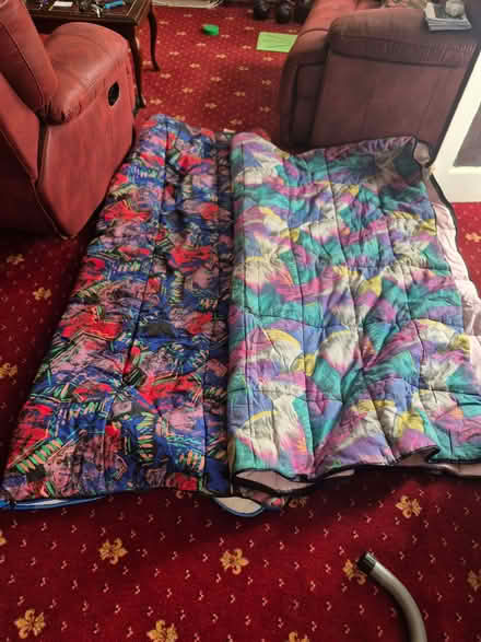 Photo of free Two sleeping bags (Galleywood CM2) #3