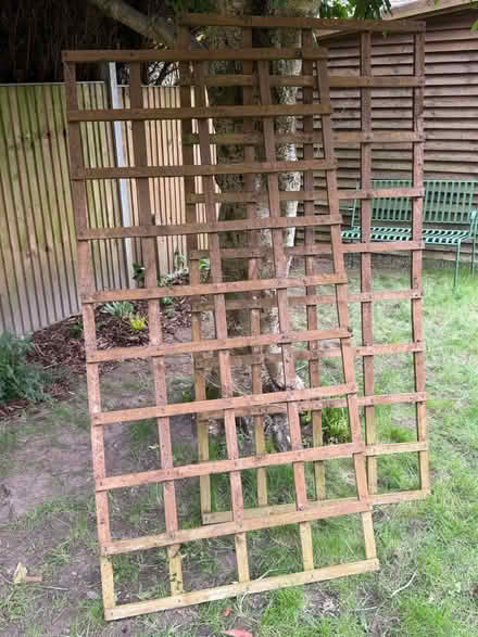 Photo of free Planters and trellises (South Park, Reigate RH2) #1