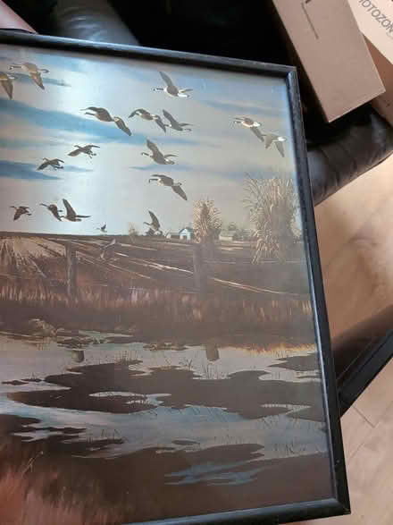 Photo of free Bird themed framed picture (BR1 bickley) #2