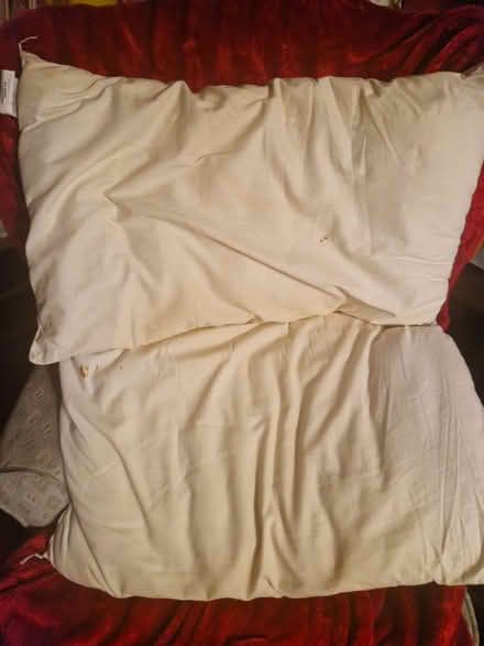Photo of free Old pillows (Worcester WR4) #1