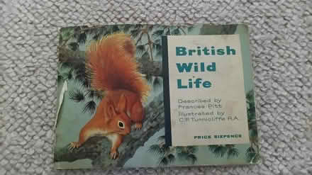 Photo of free Wildlife card albums (Cossington (TA7)) #1