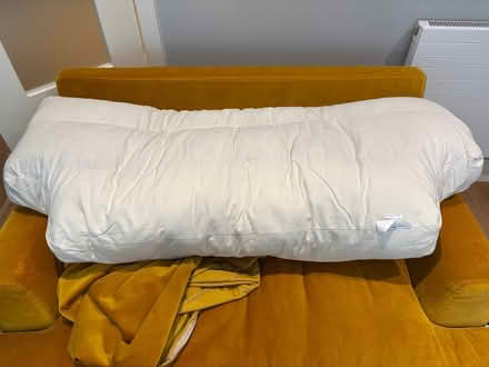 Photo of free Sofa Back Inserts (Finchampstead RG40) #1