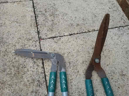 Photo of free Long handled Lawn Shears - 2 types (Wellingborough NN8 5) #2