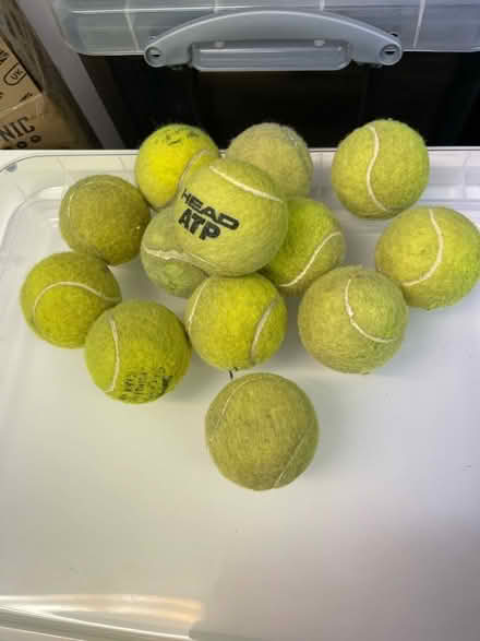 Photo of free Tennis Balls (South Kensington SW7) #1