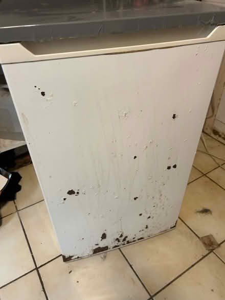 Photo of free fridge and freezer (Penang CF64) #3