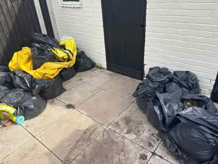 Photo of free Soil (Lee Chapel SS15) #1