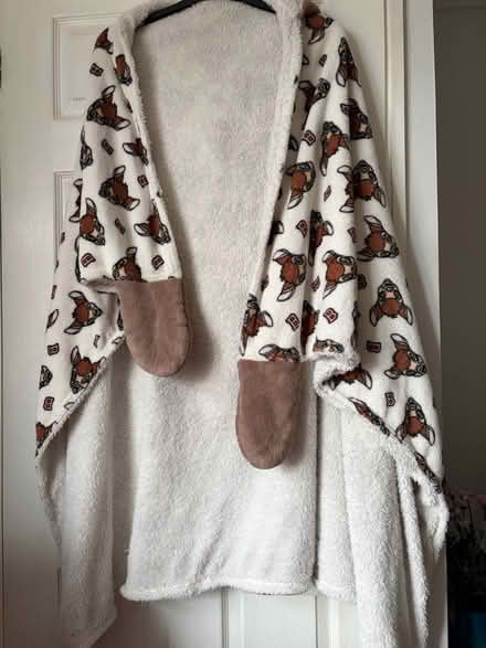 Photo of free Primark Hooded Disney Blanket (Westbury Wilts BA13) #1
