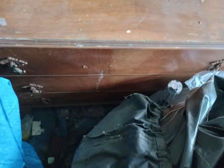 Photo of free NEEDS CLEAN Dresser, mirror top (Harton, NE34) #2