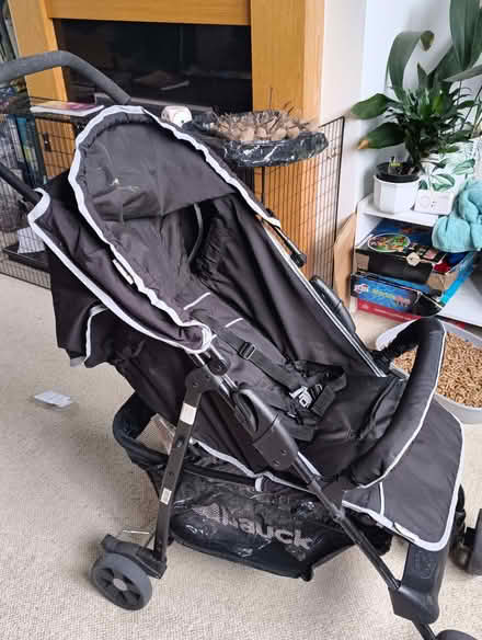 Photo of free Buggy (Sutton Park DY11) #2