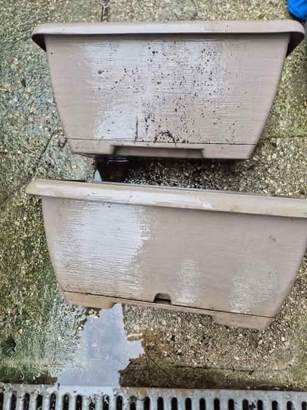 Photo of free Small plastic plant troughs (Heybridge CM9) #4