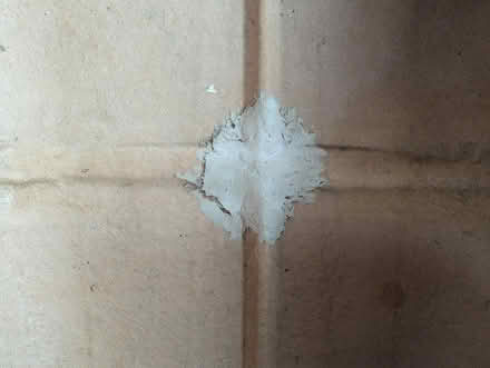 Photo of free Canoe Pickup Only Burrillville (Burrillville) #2