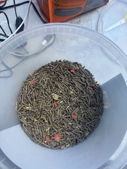 Photo of free Rabbit Nuggets (BH14) #1