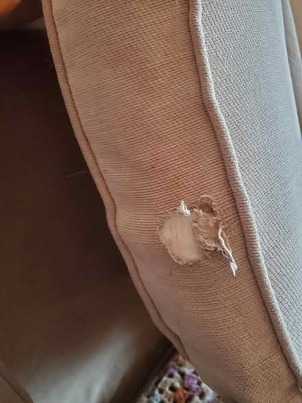 Photo of free White sofa bed (Swansea Mount Pleasant SA1) #3