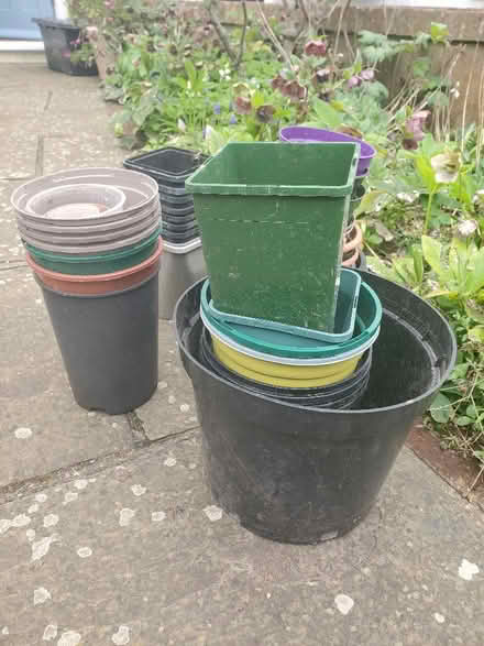 Photo of free Plastic plant pots in a variety of sizes (Dyke Road area BN1) #1