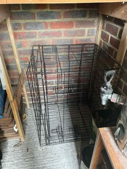 Photo of free Dog crate (East Dean BN20) #1