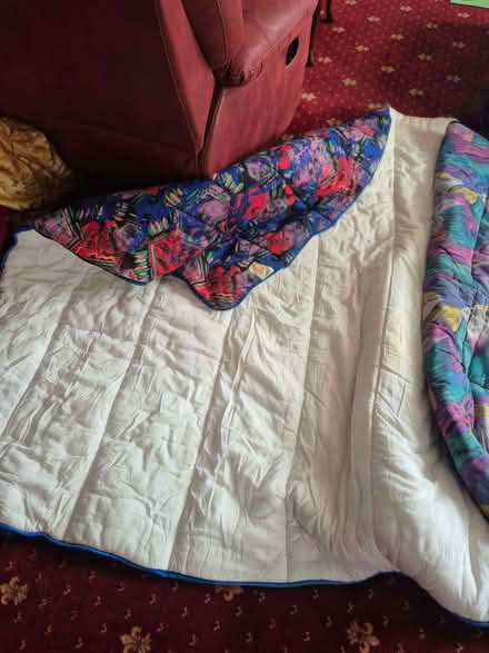 Photo of free Two sleeping bags (Galleywood CM2) #1