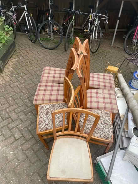 Photo of free Dining room chairs (Cowley OX4) #1
