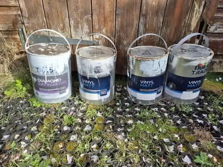 Photo of free Emulsion paint off-white (Cambridge CB1 (coleridge)) #1