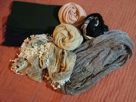 Photo of free Ladies Scarves Collection x 7 (Chipping Norton OX7) #1