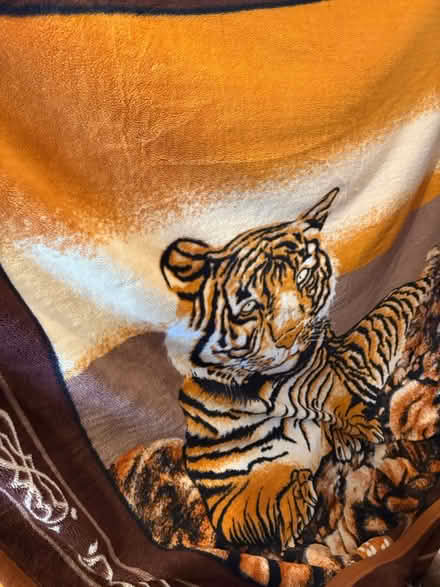 Photo of free Thick Creel Blanket (E3) #1