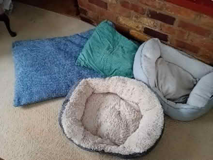 Photo of free Small Dog Items (Melbourn SG8) #1