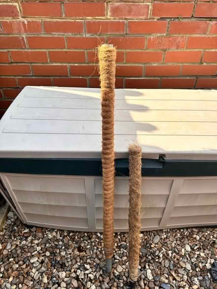 Photo of free 2 x plant supports (Colchester CO4) #1