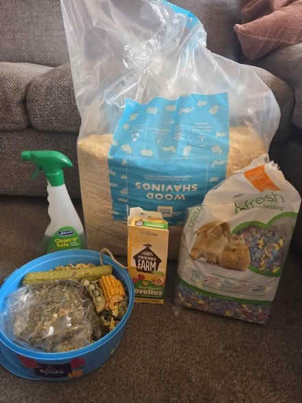 Photo of free Hamster stuff (Kingston KT2) #1