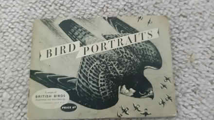 Photo of free Wildlife card albums (Cossington (TA7)) #2