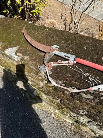 Photo of free Tall branch trimer (Bronxville) #2