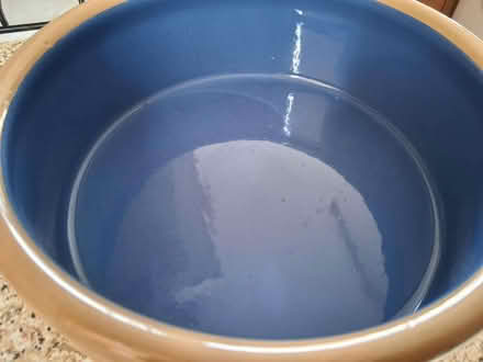 Photo of free Large dog bowl (Gleneagles area, Wboro NN8) #2