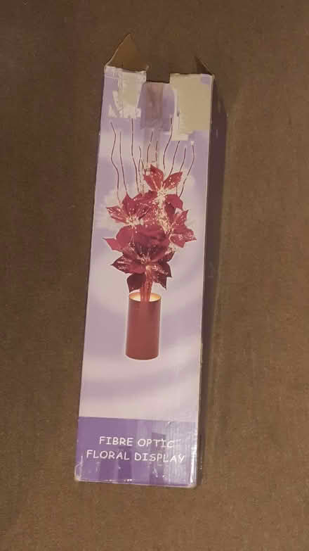 Photo of free Fibre-optic poinsettia display (OX4 - Iffley) #2