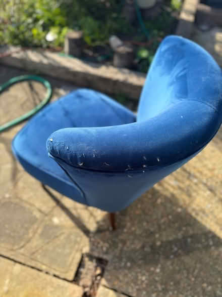Photo of free Blue velvet chair (Chessington - KT9) #4