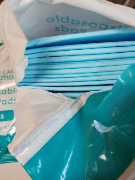 Photo of free disposable bed pads (Wildridings RG12) #3