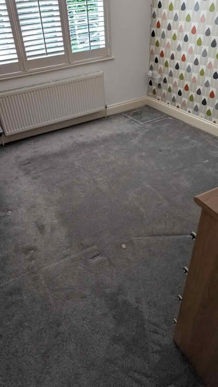 Photo of free Carpet and underlay (Bishop's Stortford) #2