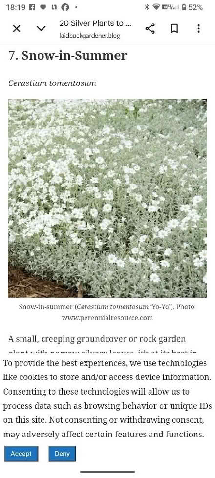 Photo of free Flower (Temple SL7) #1