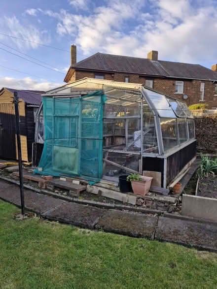 Photo of free Large greenhouse (Gilesgate DH1) #1