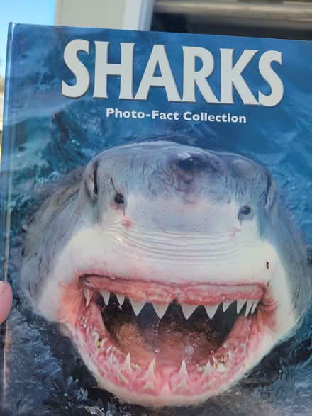 Photo of free Books (Ventura) #4