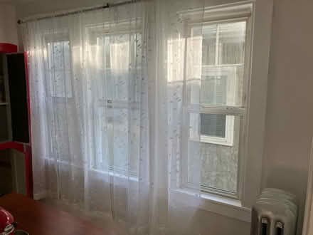 Photo of free Curtains (Teele Square) #2