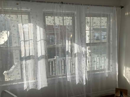 Photo of free Curtains (Teele Square) #1