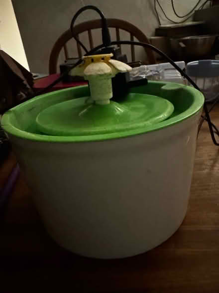 Photo of free Cat water fountain (Kidlington OX5) #1