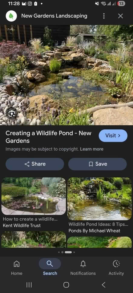 Photo of Pond items (Markfield LE6) #1